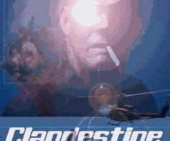 CLANDESTINE RENDEZVOUS e-Book novel